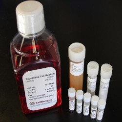 Cell Culture Media and Kits (75)