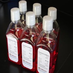 Cell Culture Supplements, Reagents (10)